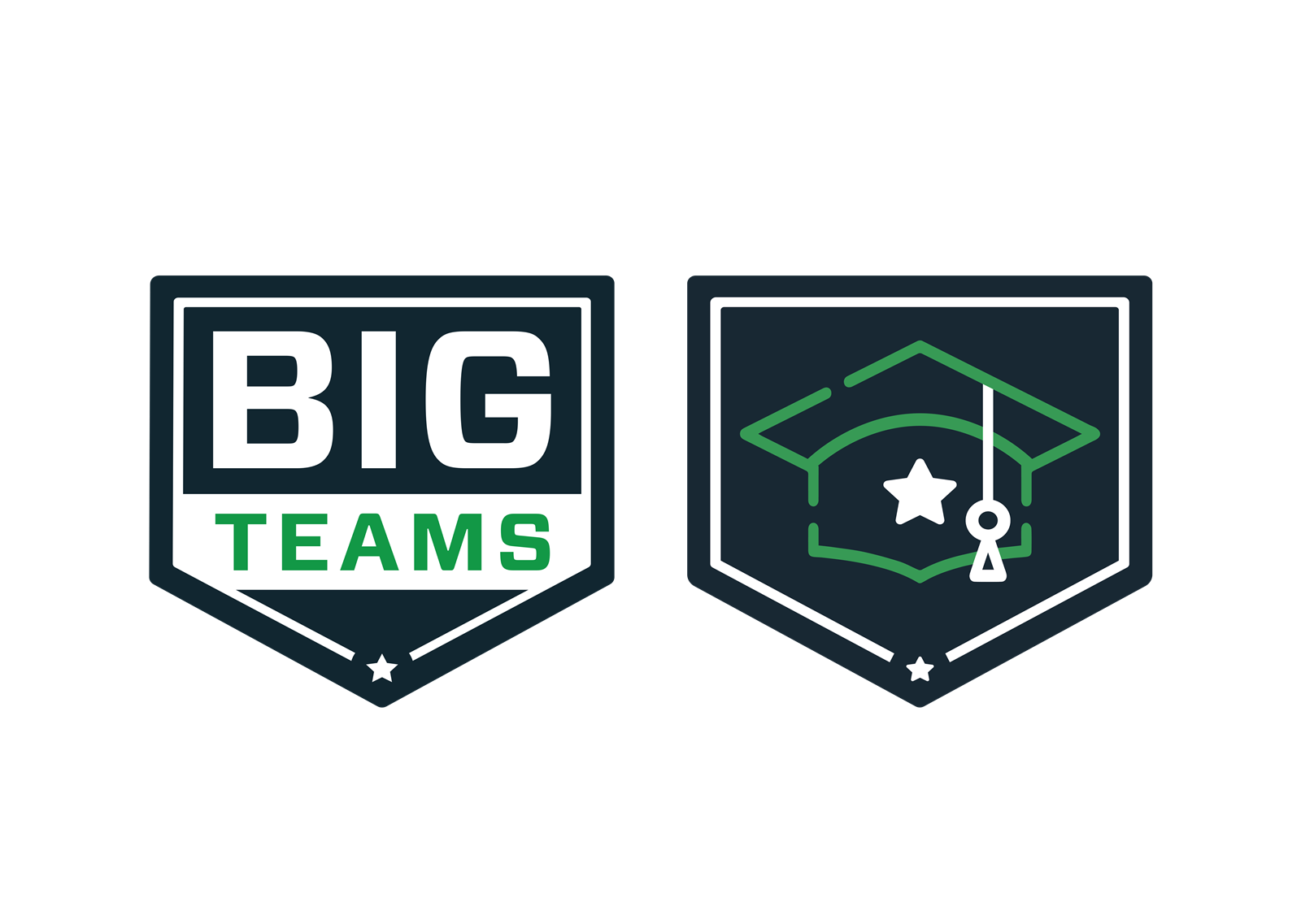  Big Teams website logo